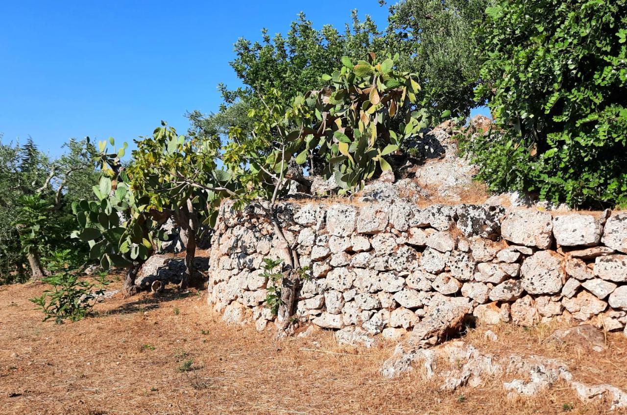 I Due Carrubi Villa Ostuni Kültér fotó