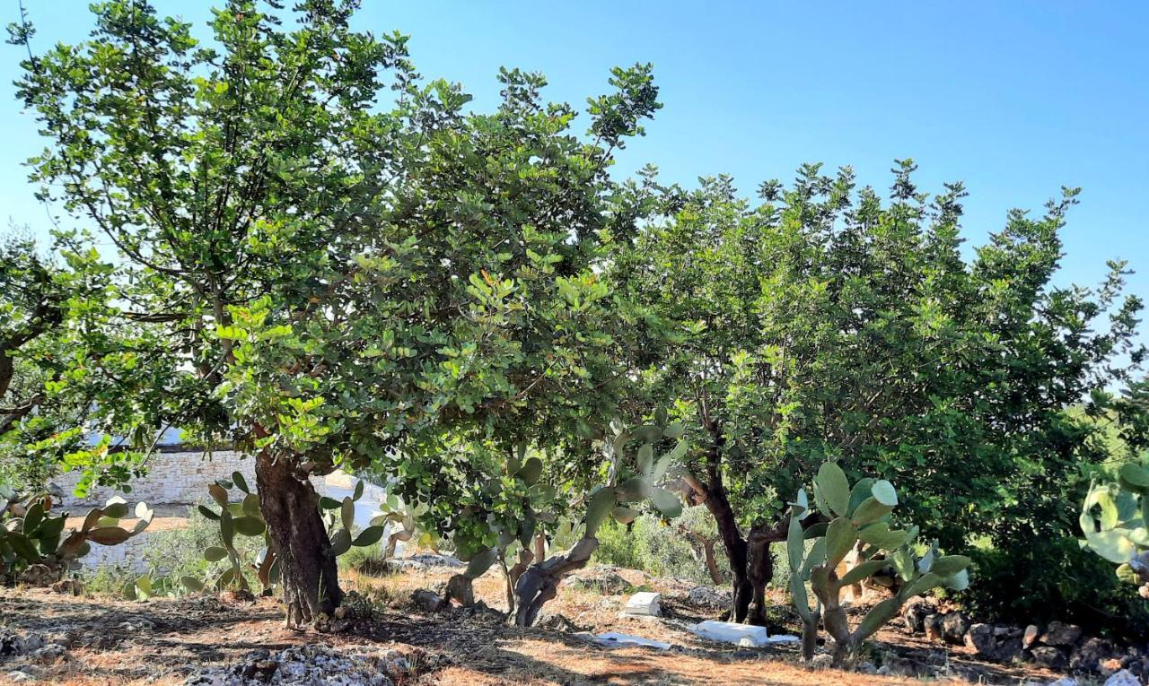 I Due Carrubi Villa Ostuni Kültér fotó